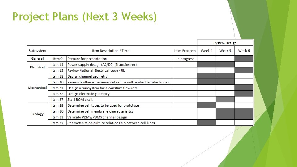 Project Plans (Next 3 Weeks) 