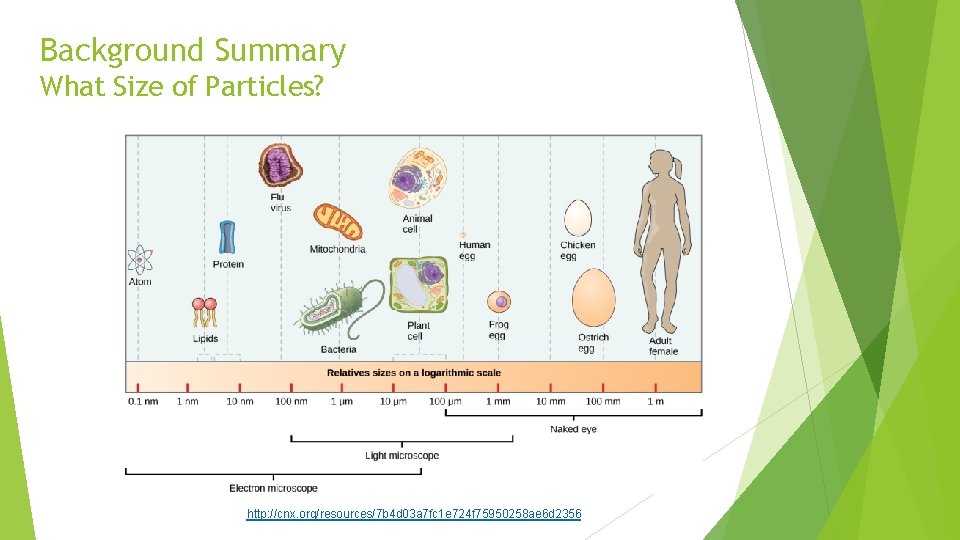Background Summary What Size of Particles? http: //cnx. org/resources/7 b 4 d 03 a