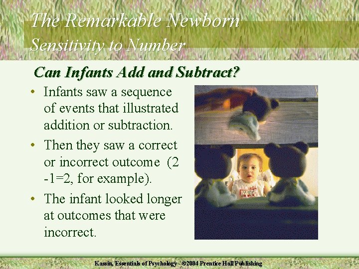 The Remarkable Newborn Sensitivity to Number Can Infants Add and Subtract? • Infants saw