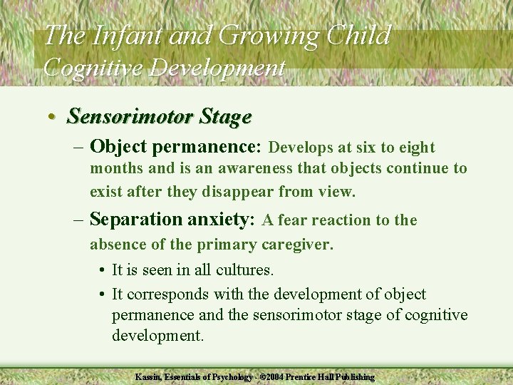 The Infant and Growing Child Cognitive Development • Sensorimotor Stage – Object permanence: Develops