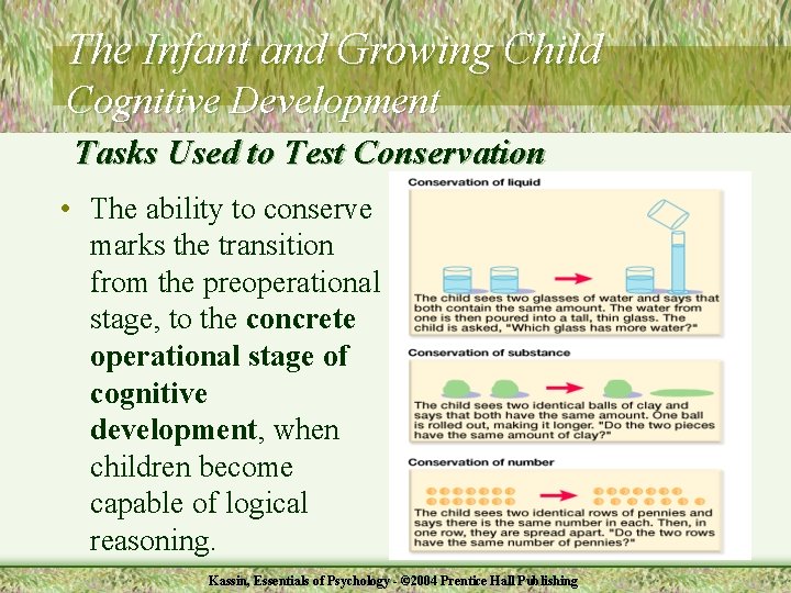 The Infant and Growing Child Cognitive Development Tasks Used to Test Conservation • The