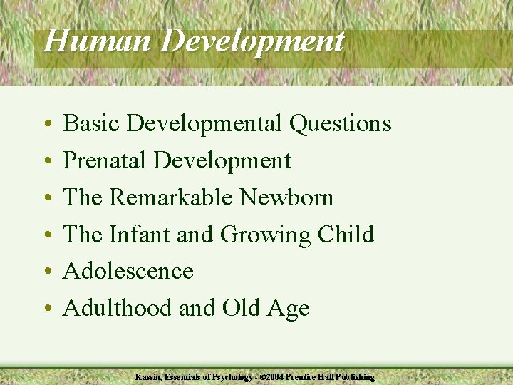 Human Development • • • Basic Developmental Questions Prenatal Development The Remarkable Newborn The