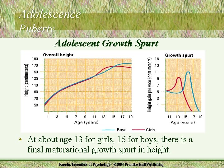 Adolescence Puberty Adolescent Growth Spurt • At about age 13 for girls, 16 for