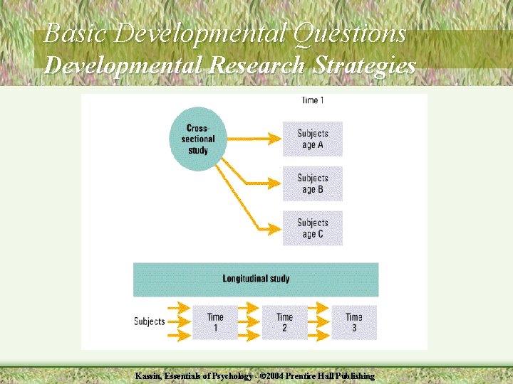 Basic Developmental Questions Developmental Research Strategies Kassin, Essentials of Psychology - © 2004 Prentice