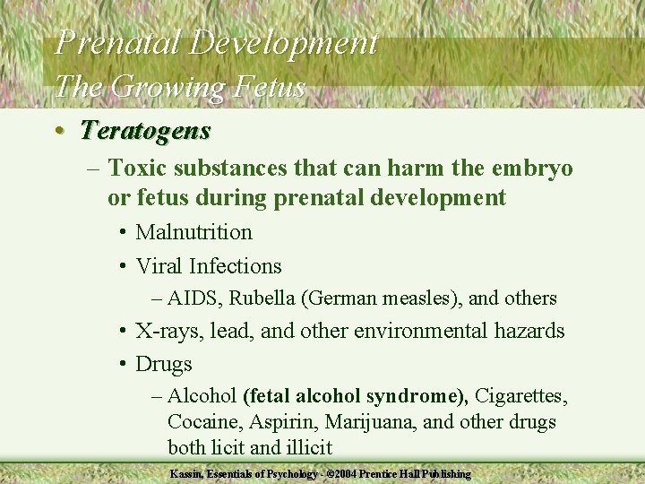 Prenatal Development The Growing Fetus • Teratogens – Toxic substances that can harm the