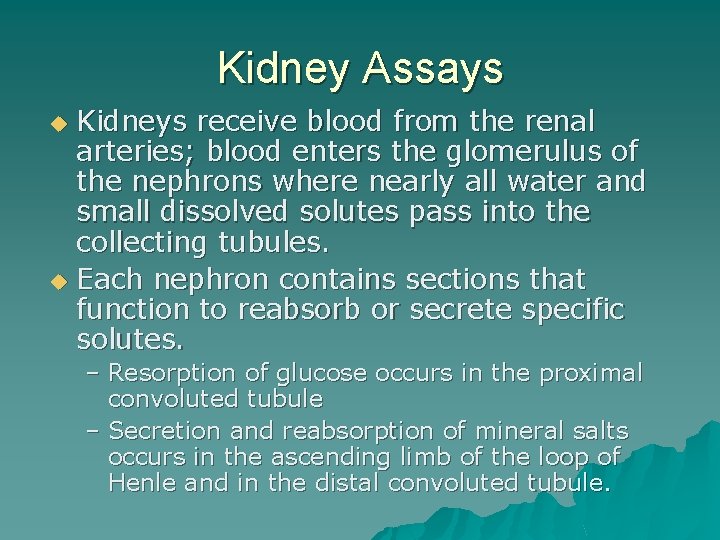 Kidney Assays Kidneys receive blood from the renal arteries; blood enters the glomerulus of