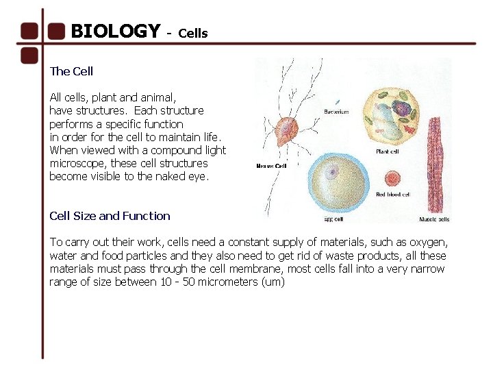 BIOLOGY - Cells The Cell All cells, plant and animal, have structures. Each structure