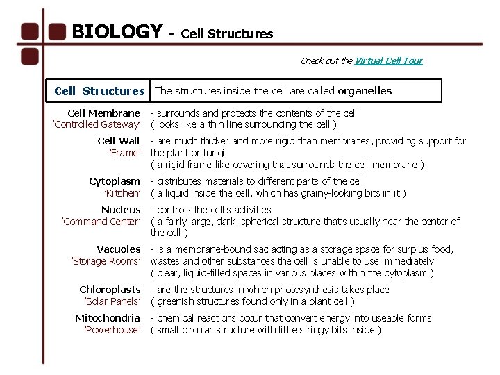 BIOLOGY - Cell Structures Check out the Virtual Cell Tour Cell Structures The structures