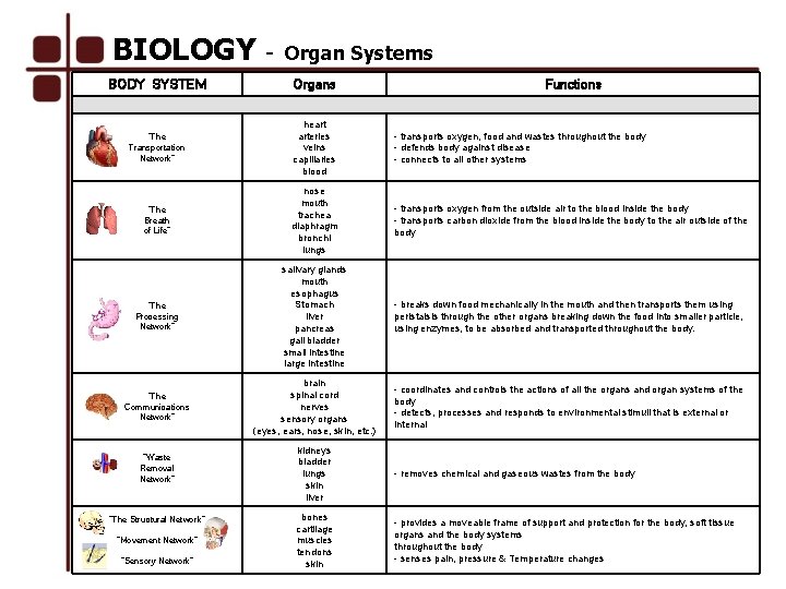 BIOLOGY - Organ Systems BODY SYSTEM Organs “The Transportation Network” heart arteries veins capillaries