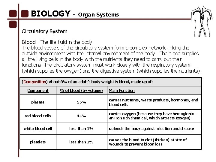 BIOLOGY - Organ Systems Circulatory System Blood - The life fluid in the body.