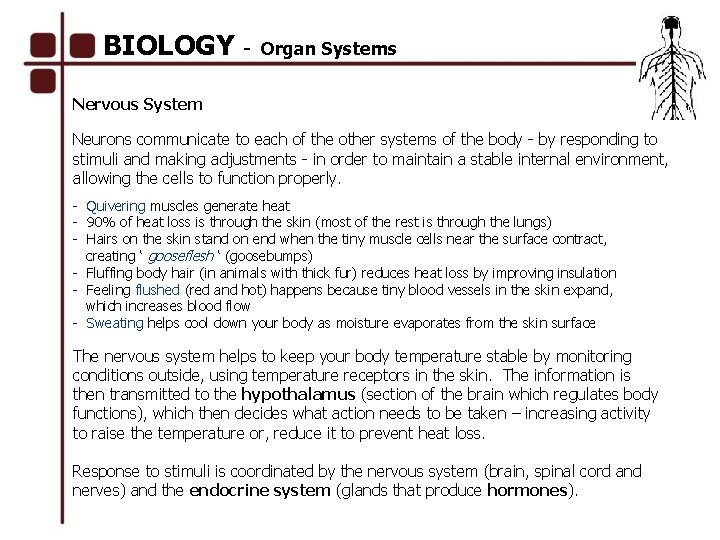 BIOLOGY - Organ Systems Nervous System Neurons communicate to each of the other systems