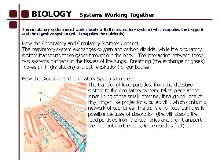 BIOLOGY - Systems Working Together The circulatory system must work closely with the respiratory