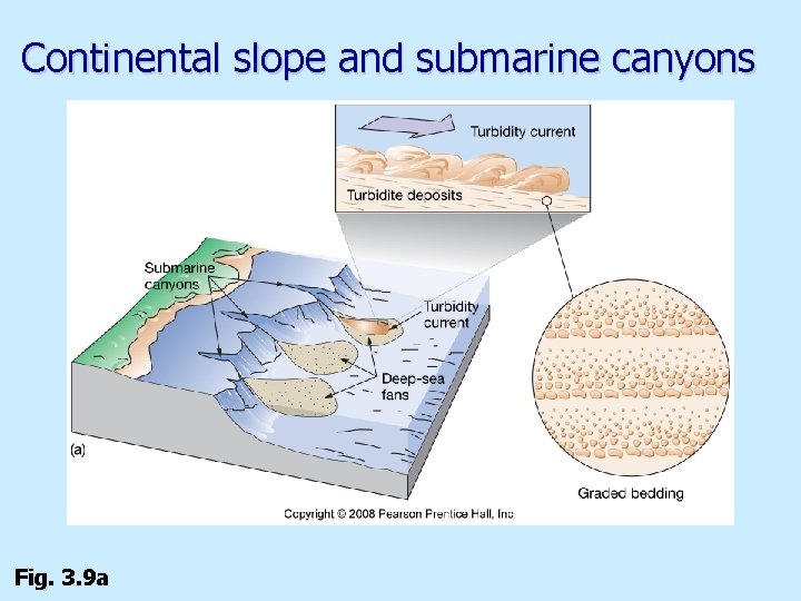 Continental slope and submarine canyons Fig. 3. 9 a 