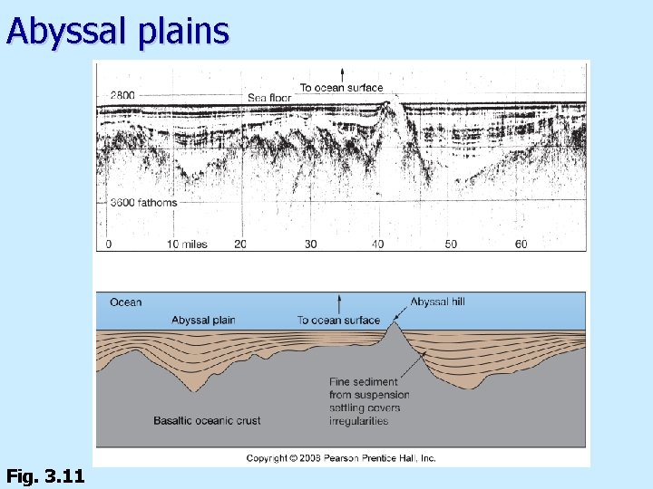 Abyssal plains Fig. 3. 11 