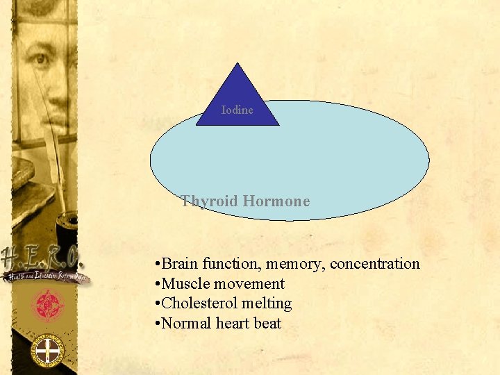 Iodine Thyroid Hormone • Brain function, memory, concentration • Muscle movement • Cholesterol melting