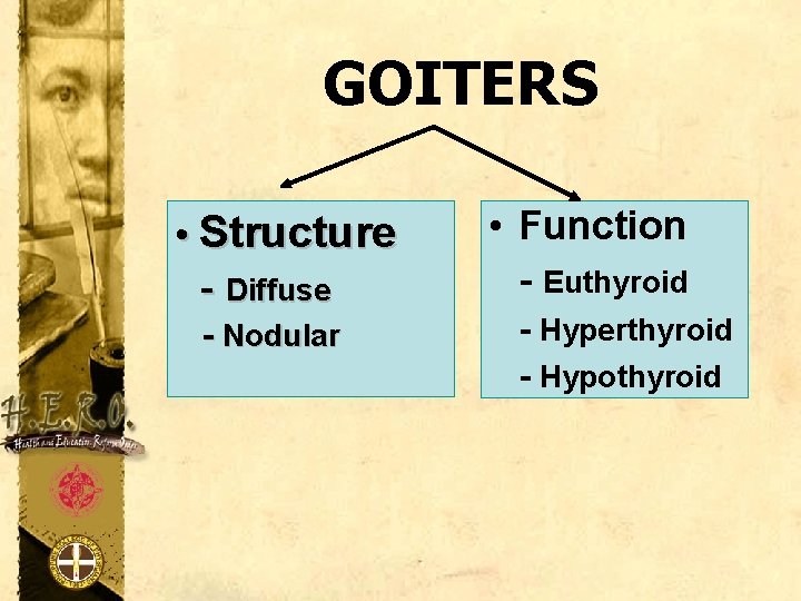 GOITERS • Structure - Diffuse - Nodular • Function - Euthyroid - Hyperthyroid -