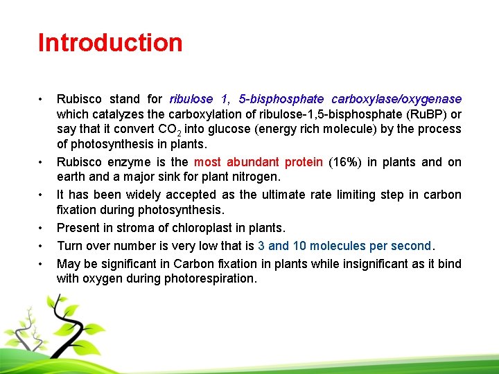 Introduction • • • Rubisco stand for ribulose 1, 5 -bisphosphate carboxylase/oxygenase which catalyzes