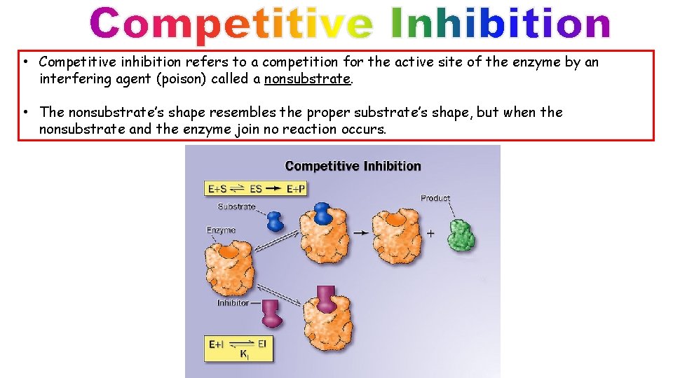 • Competitive inhibition refers to a competition for the active site of the