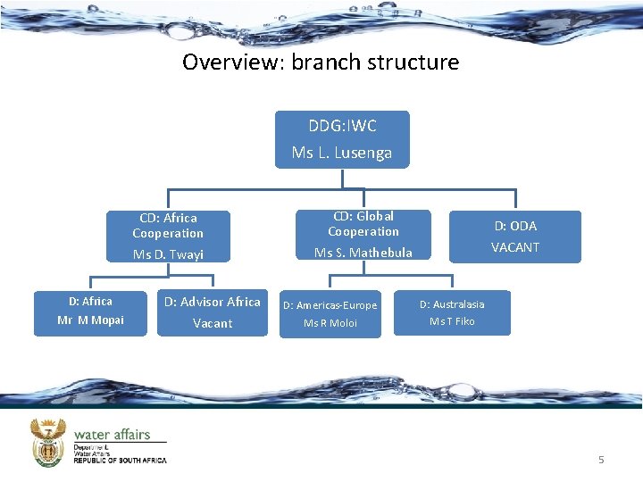 Overview: branch structure DDG: IWC Ms L. Lusenga CD: Africa Cooperation Ms D. Twayi