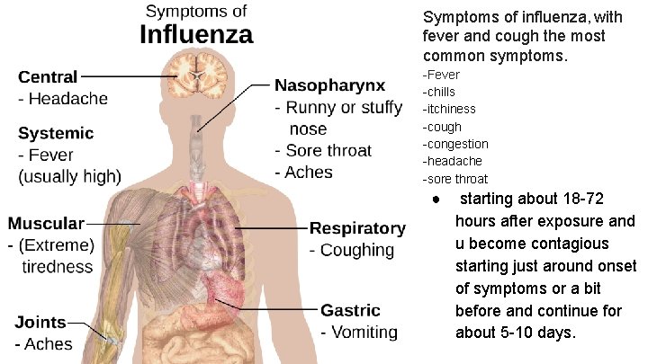 Symptoms of influenza, with fever and cough the most common symptoms. -Fever -chills -itchiness