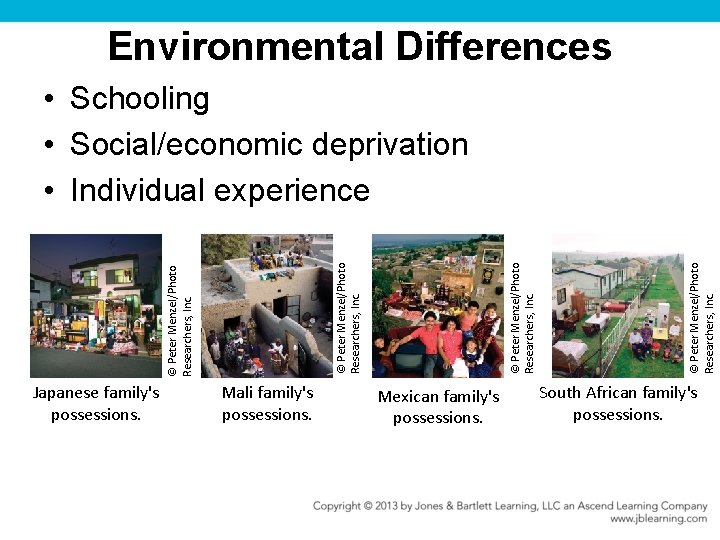 Environmental Differences Japanese family's possessions. Mali family's possessions. Mexican family's possessions. © Peter Menzel/Photo