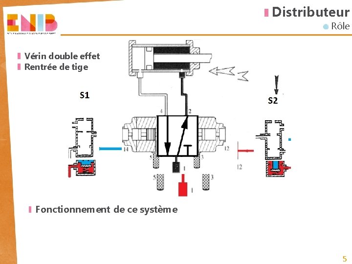 Distributeur Rôle Vérin double effet Rentrée de tige Fonctionnement de ce système 5 