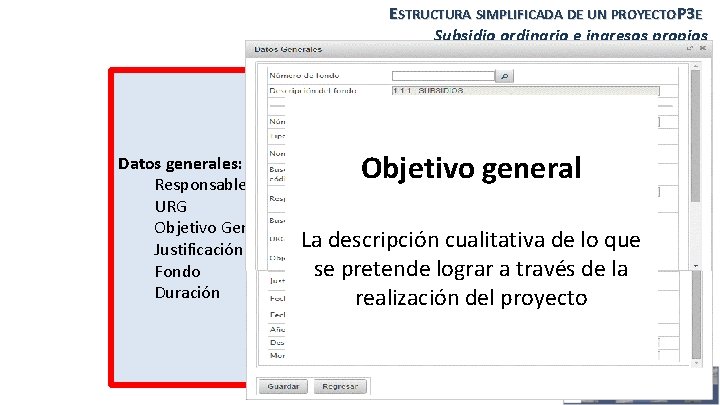 ESTRUCTURA SIMPLIFICADA DE UN PROYECTOP 3 E Subsidio ordinario e ingresos propios Alineación PDI,