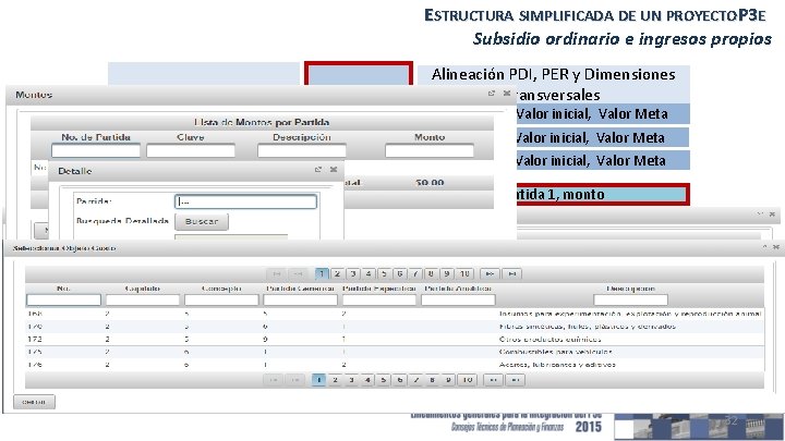 ESTRUCTURA SIMPLIFICADA DE UN PROYECTOP 3 E Subsidio ordinario e ingresos propios Alineación PDI,