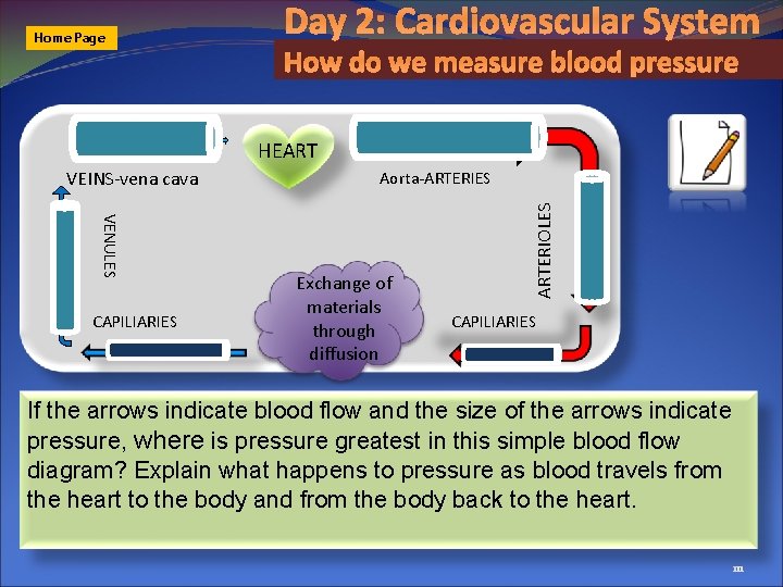 Home Page Day 2: Cardiovascular System How do we measure blood pressure HEART VENULES