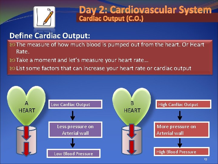 Day 2: Cardiovascular System Cardiac Output (C. O. ) Define Cardiac Output: The measure