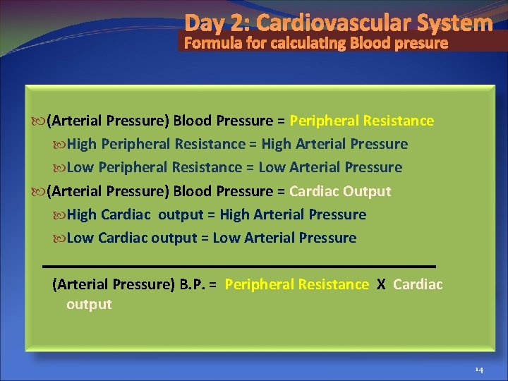 Day 2: Cardiovascular System Formula for calculating Blood presure (Arterial Pressure) Blood Pressure =