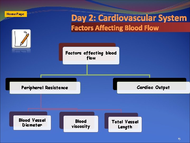 Day 2: Cardiovascular System Home Page Factors Affecting Blood Flow Factors affecting blood flow
