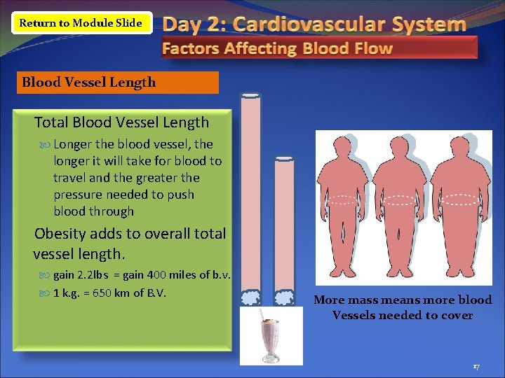 Return to Module Slide Blood Vessel Length Total Blood Vessel Length Longer the blood
