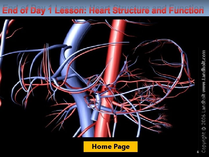 End of Day 1 Lesson: Heart Structure and Function Home Page 6 