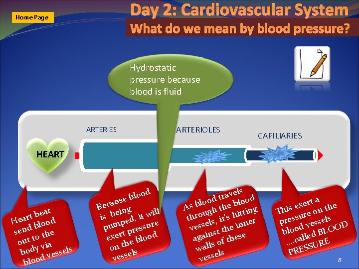 Day 2: Cardiovascular System Home Page What do we mean by blood pressure? Hydrostatic