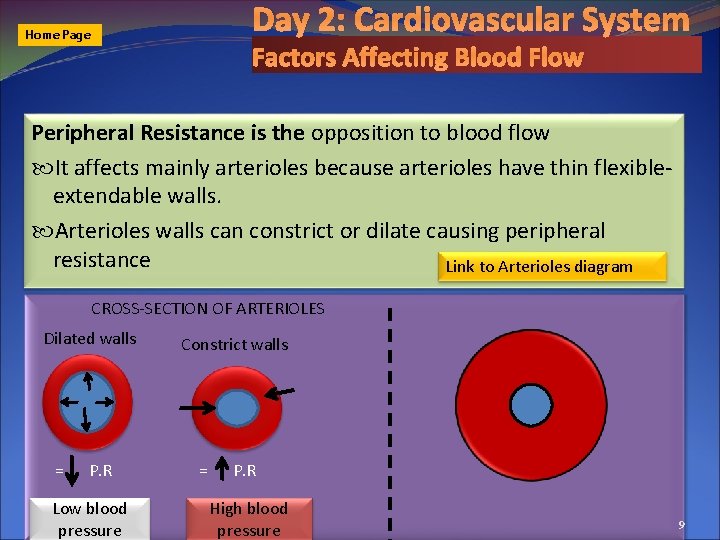 Day 2: Cardiovascular System Home Page Factors Affecting Blood Flow Peripheral Resistance is the