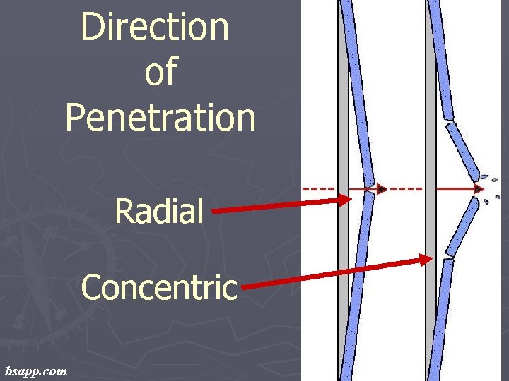 Direction of Penetration Radial Concentric bsapp. com 