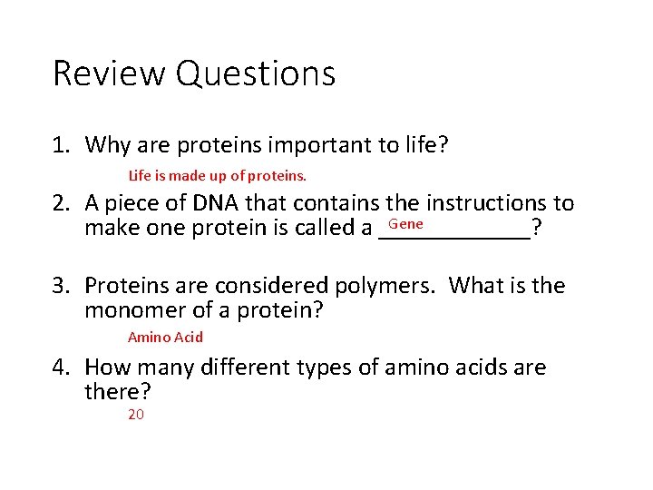 Review Questions 1. Why are proteins important to life? Life is made up of
