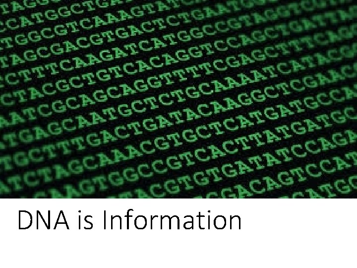 DNA is Information 