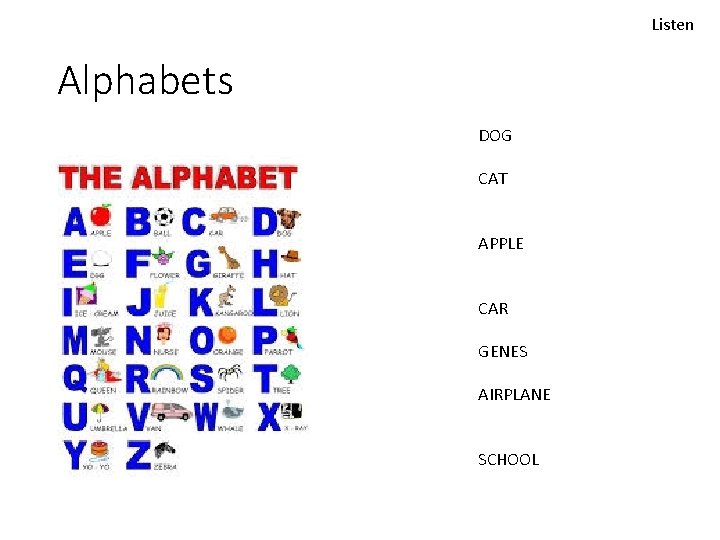 Listen Alphabets DOG CAT APPLE CAR GENES AIRPLANE SCHOOL 
