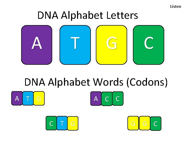 Listen DNA Alphabet Letters A T G C DNA Alphabet Words (Codons) A T