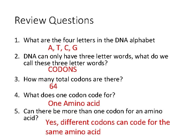 Review Questions 1. What are the four letters in the DNA alphabet A, T,