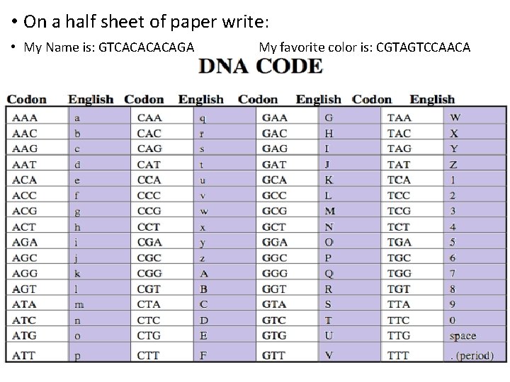  • On a half sheet of paper write: • My Name is: GTCACAGA