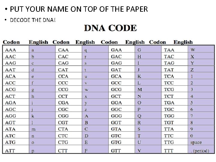  • PUT YOUR NAME ON TOP OF THE PAPER • DECODE THE DNA!