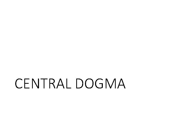 CENTRAL DOGMA 