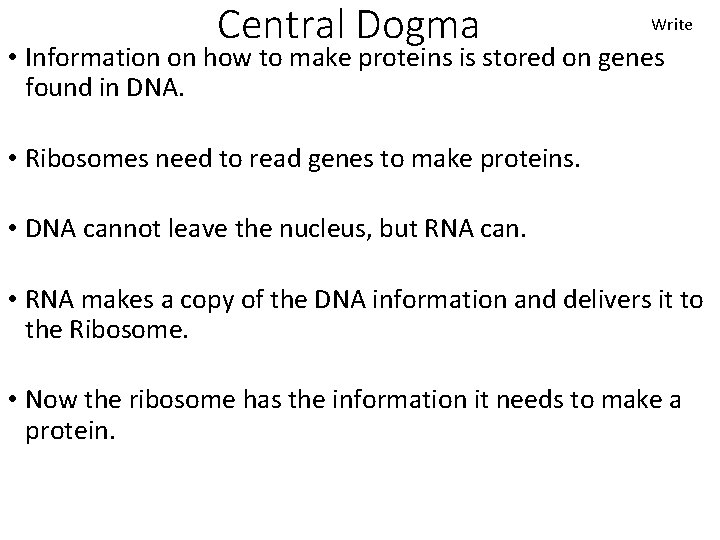 Central Dogma Write • Information on how to make proteins is stored on genes