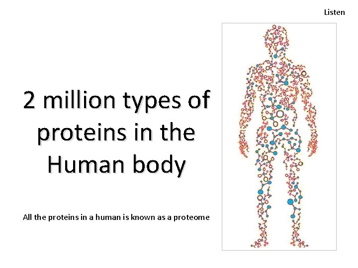 Listen 2 million types of proteins in the Human body All the proteins in