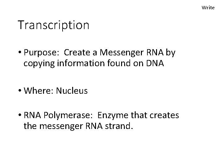 Write Transcription • Purpose: Create a Messenger RNA by copying information found on DNA