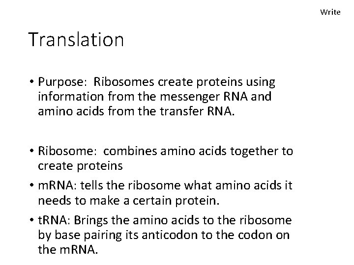 Write Translation • Purpose: Ribosomes create proteins using information from the messenger RNA and