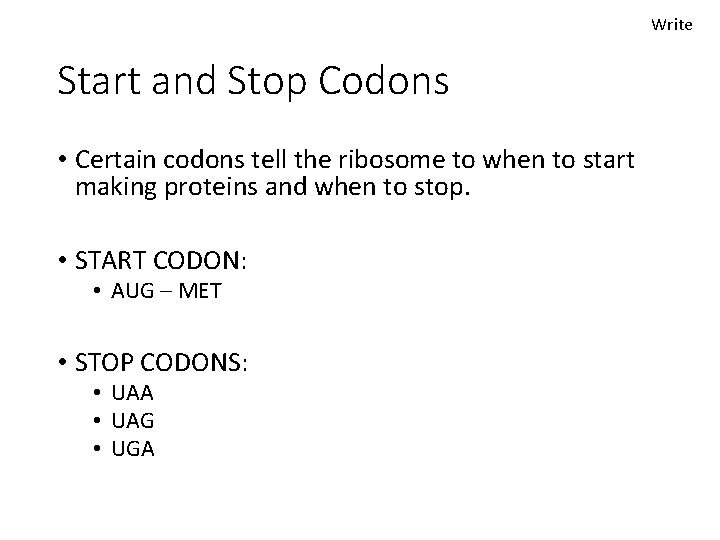 Write Start and Stop Codons • Certain codons tell the ribosome to when to